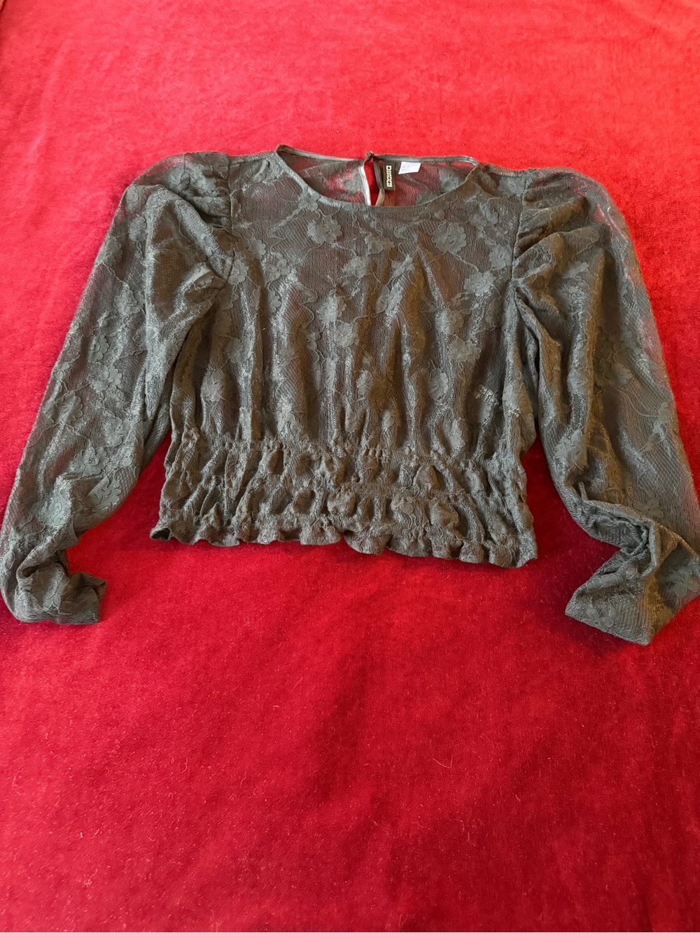 H&M Black Lace Long-Sleeve Smocked Waist Blouse